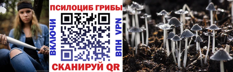 ссылка на мегу ONION  Краснослободск  Галлюциногенные грибы прущие грибы 